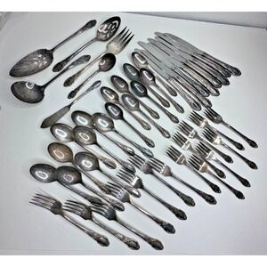 WM A Rogers Oneida PARK LANE SIlver Plated Chatelaine Dowry Silverware set 45 pc